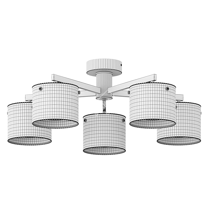 Contemporary Ceiling Light Lumion 6587 3D model image 3