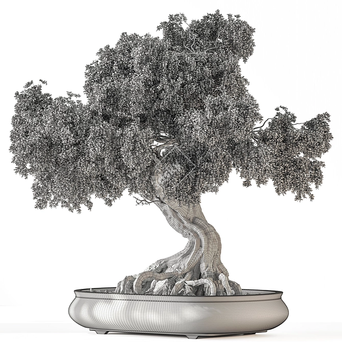 Zen Bonsai Plant Set 3D model image 4