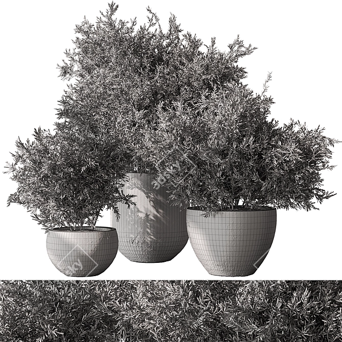 Bush in Pot 784 Display 3D model image 3