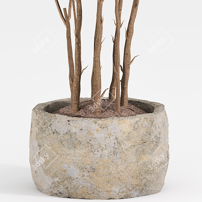 Modern Indoor Plant Set 059 3D model image 3