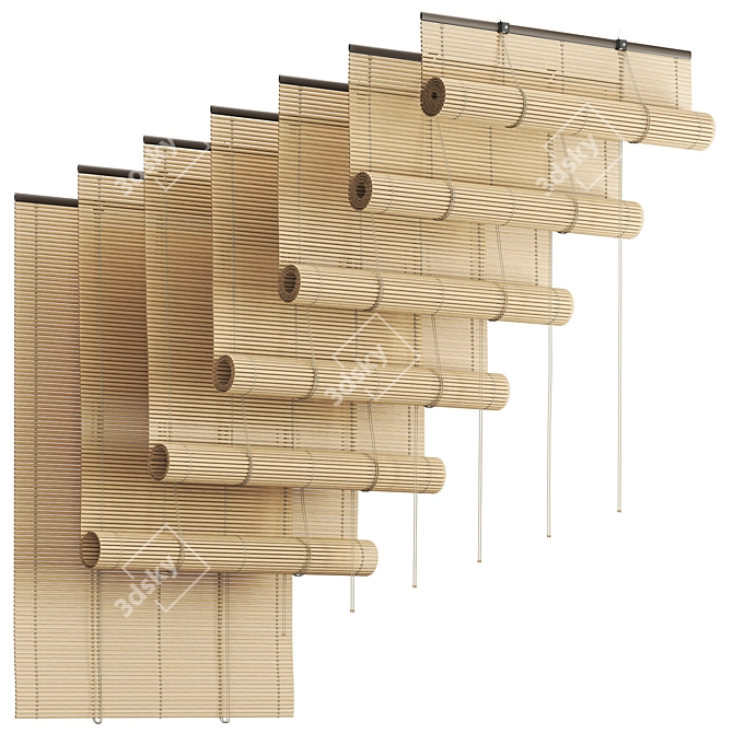 Versatile Bamboo PVC Blinds 3D model image 1