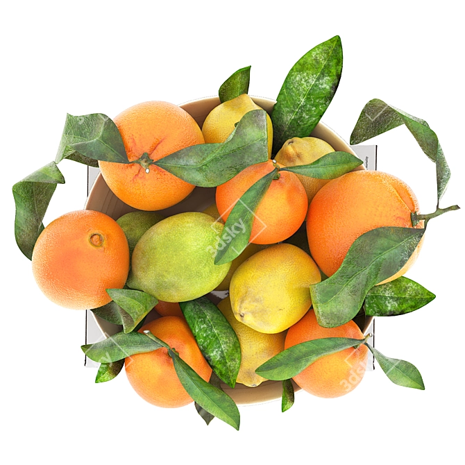 Citrus Fruits Bowl 3D Model 3D model image 2