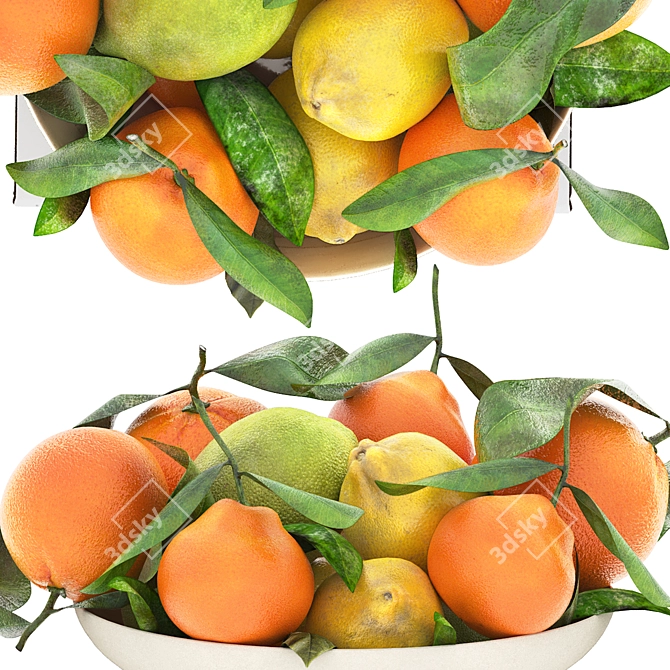 Citrus Fruits Bowl 3D Model 3D model image 3