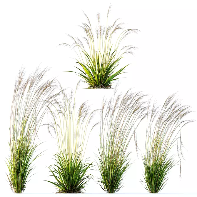 Grass Variety 3D Model Pack 3D model image 1