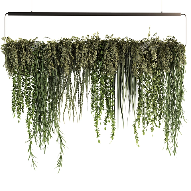 Set50 Hanging Indoor Plant Models 3D model image 2