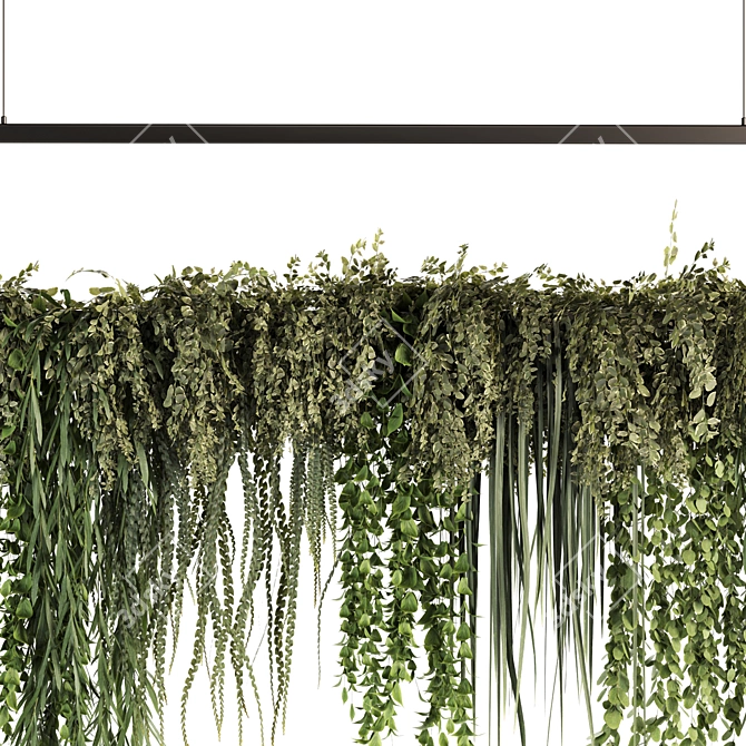 Set50 Hanging Indoor Plant Models 3D model image 3