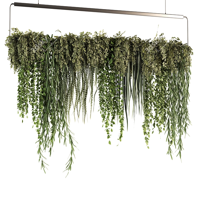 Set50 Hanging Indoor Plant Models 3D model image 4