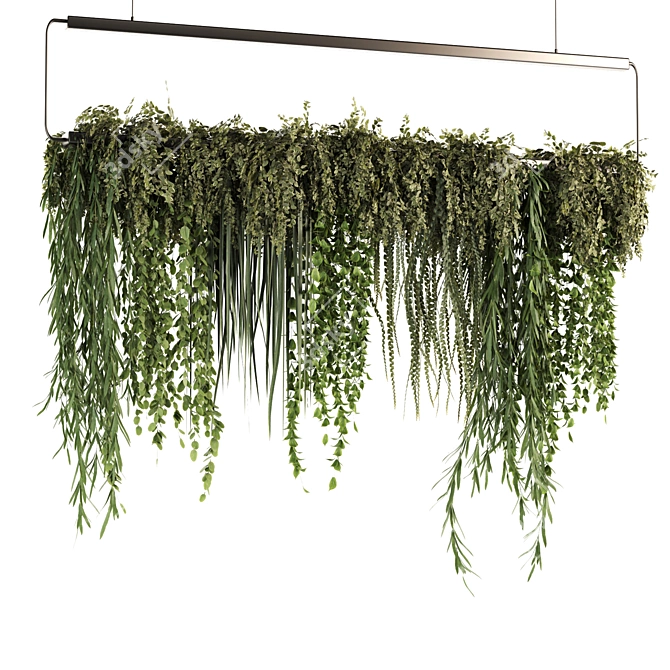 Set50 Hanging Indoor Plant Models 3D model image 5