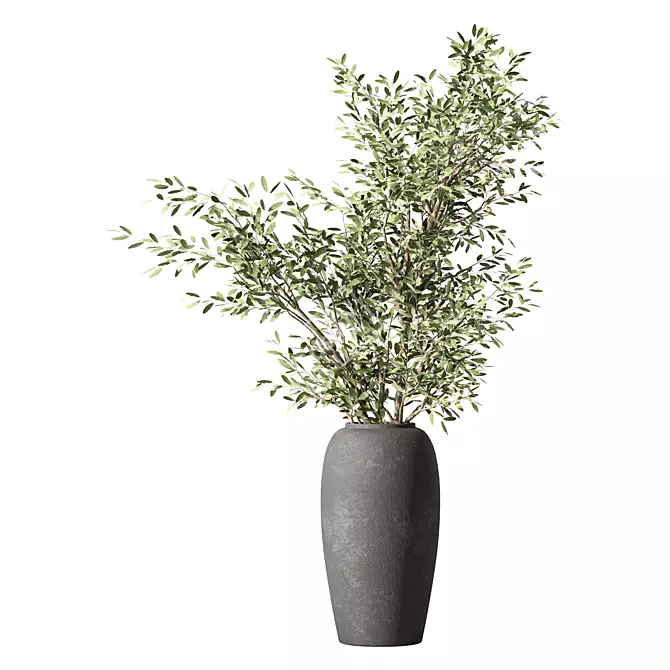 Peaceful Olive Branch Bouquet 3D model image 1