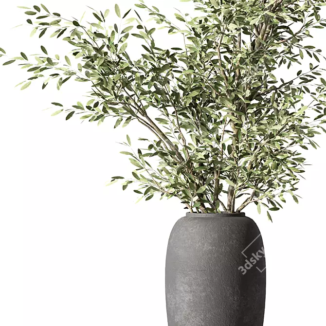 Peaceful Olive Branch Bouquet 3D model image 2