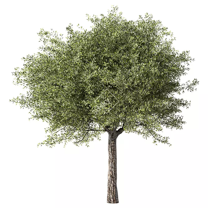 Stylish Tree Sculpture Design 3D model image 1