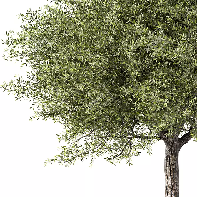 Stylish Tree Sculpture Design 3D model image 2