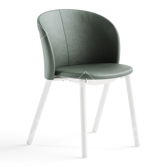 Zanotta Daisy Modern Chair 3D 3D model image 3