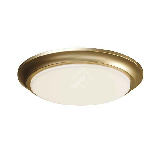 Slim LED Ceiling Mount - Baron 3D model image 3