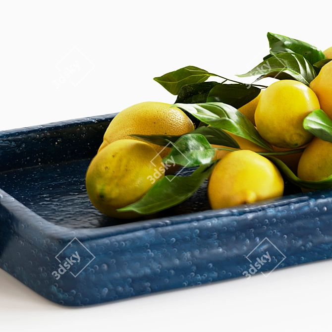 Title: Lemon Tray for Corona Render 3D model image 2