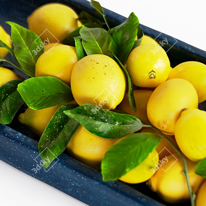 Title: Lemon Tray for Corona Render 3D model image 8