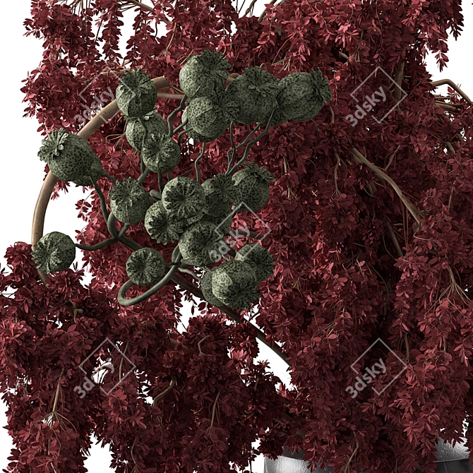 Ruby Burst Bouquet 3D model image 3