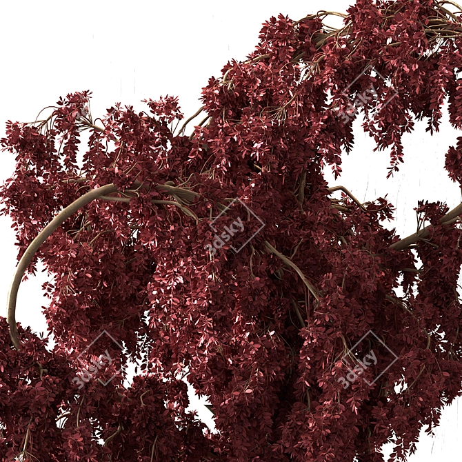 Ruby Burst Bouquet 3D model image 4