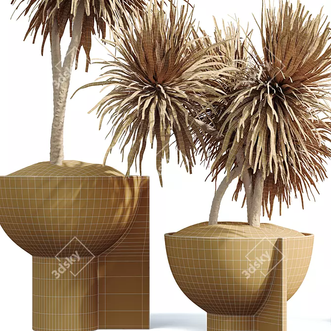 3D Yucca HousePlant Set 3D model image 4