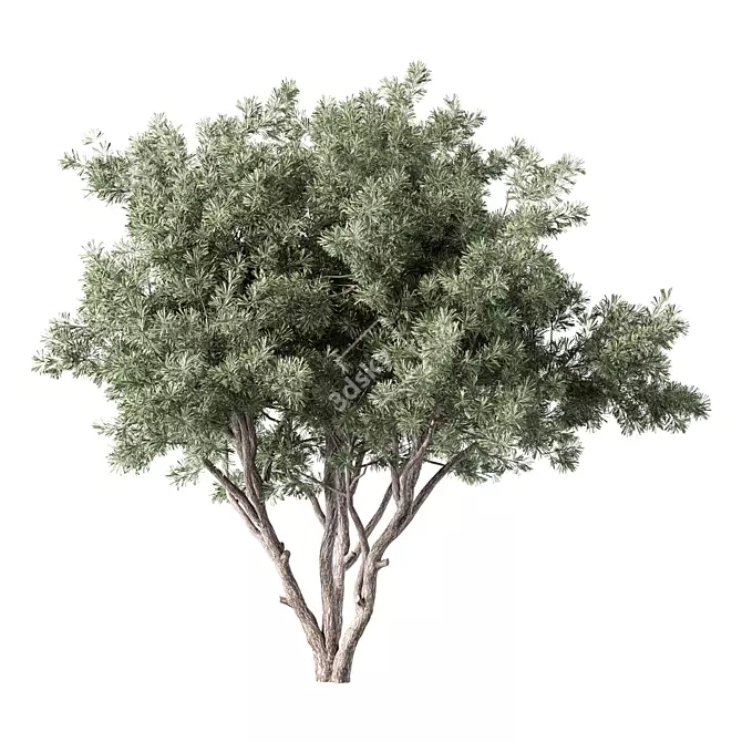 Whispering Pine Tree Sculpture 3D model image 1