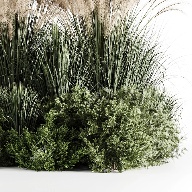 High-Quality Bush Set for Rendering 3D model image 4