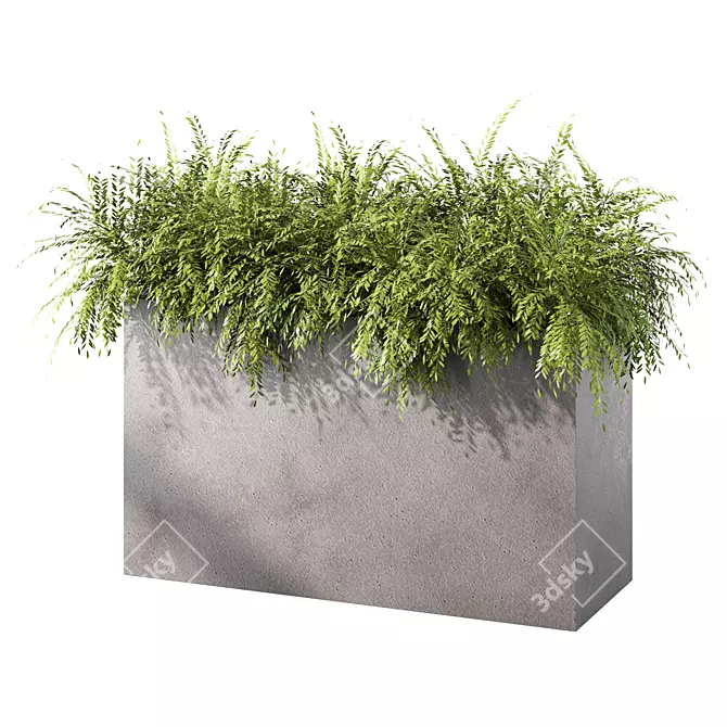 Evergreen Bush Outdoor Plant Set 3D model image 1