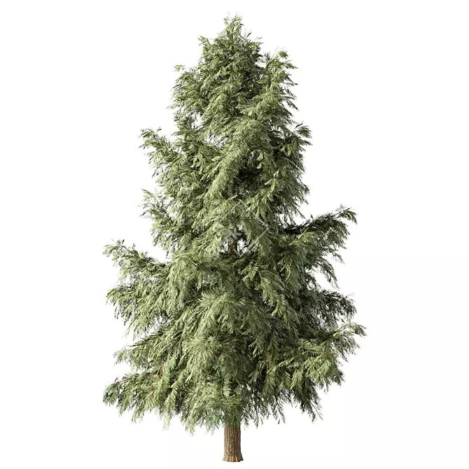 Pine Tree No.128 Sculpture: Minimalist Beauty 3D model image 1