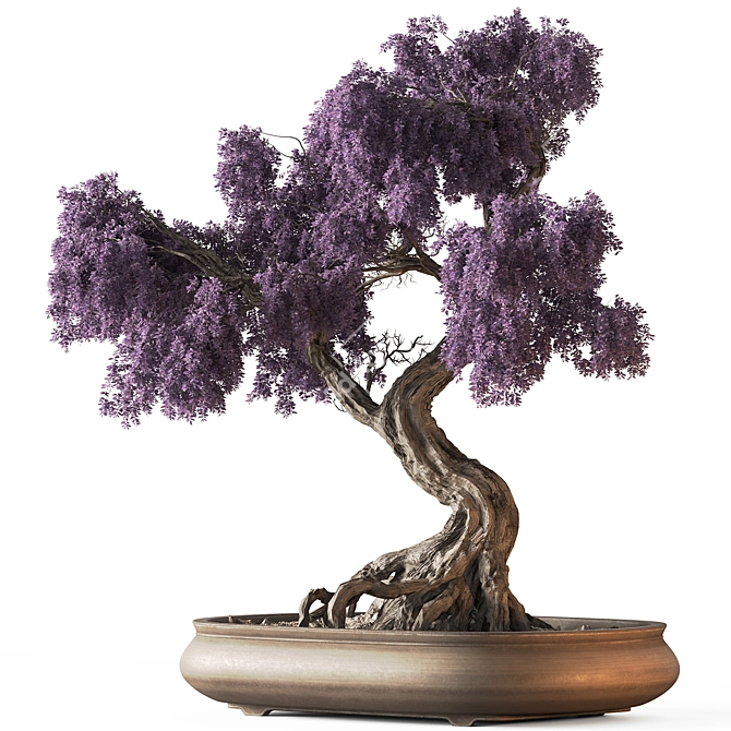 Bonsai Set: Indoor Plant 780 3D model image 1