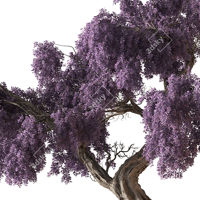 Bonsai Set: Indoor Plant 780 3D model image 2