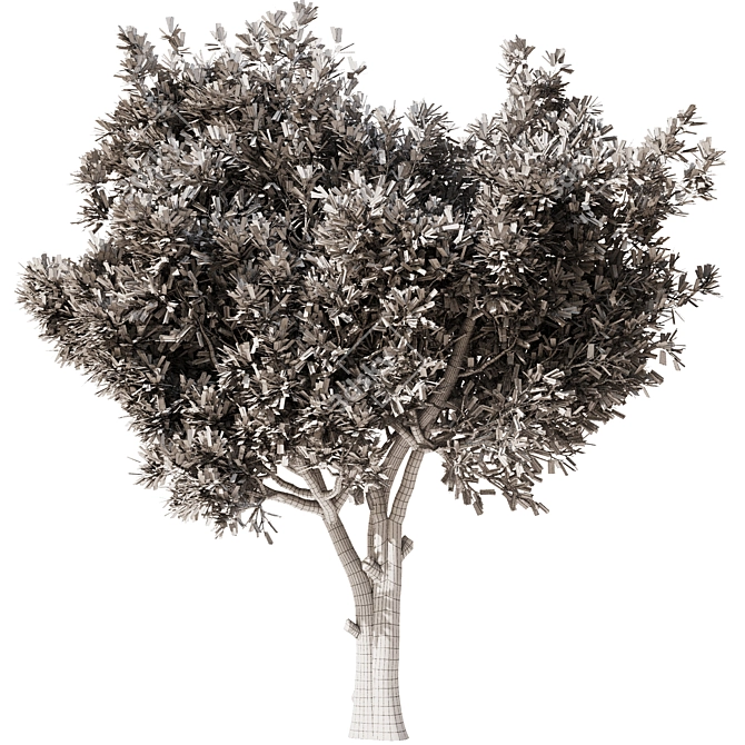 Elegant Olive Tree Set22 Model 3D model image 4