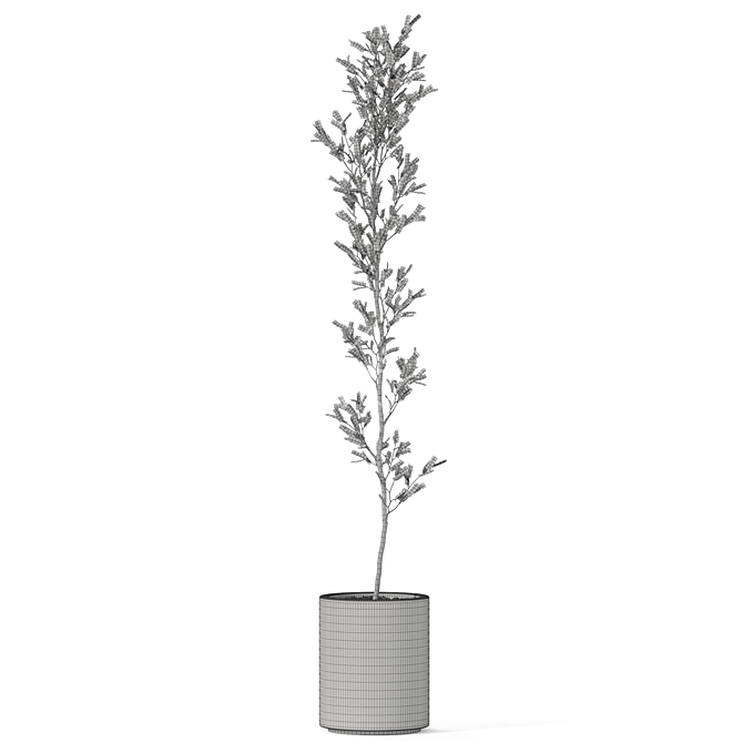 Assorted Plants Collection 1126 3D model image 3