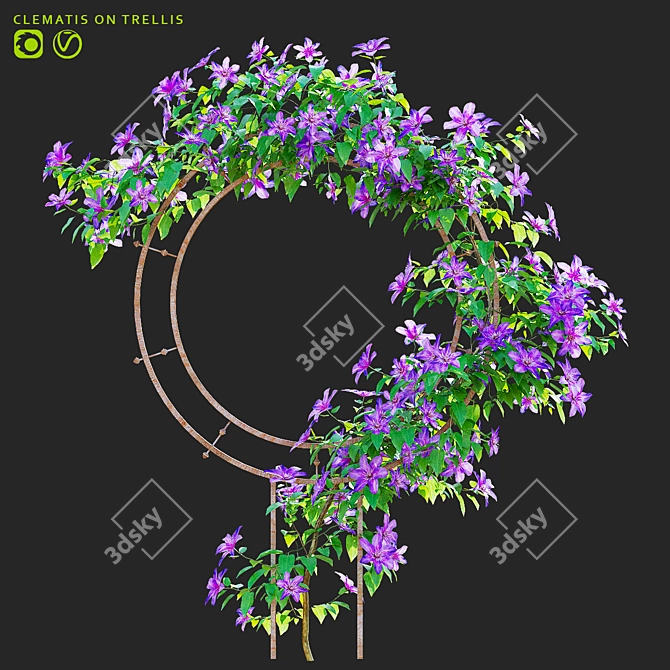 Clematis Plant Support Set 3D model image 1