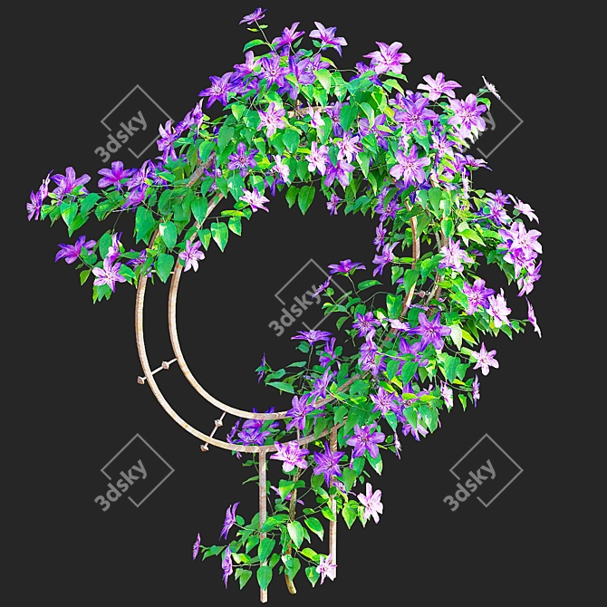 Clematis Plant Support Set 3D model image 2