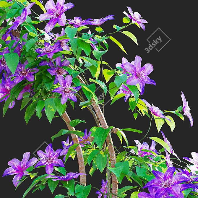 Clematis Plant Support Set 3D model image 4