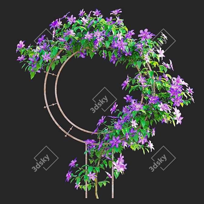 Clematis Plant Support Set 3D model image 7