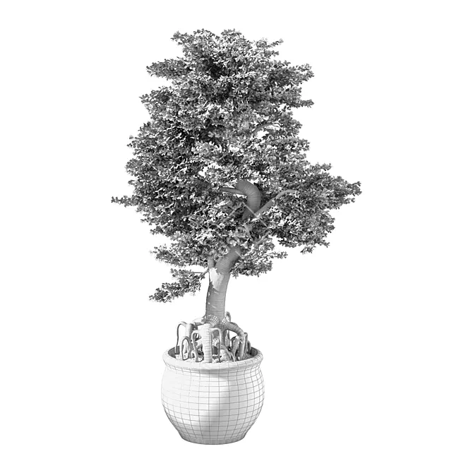 Mini Bonsai Tree Set 3D model image 3