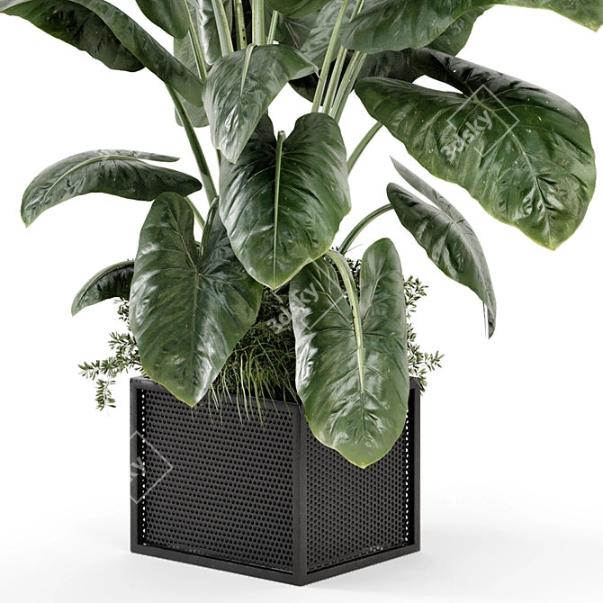 Indoor Plants Set with Metal Pots 3D model image 5