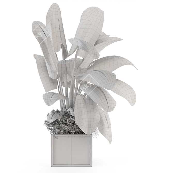 Indoor Plants Set with Metal Pots 3D model image 7