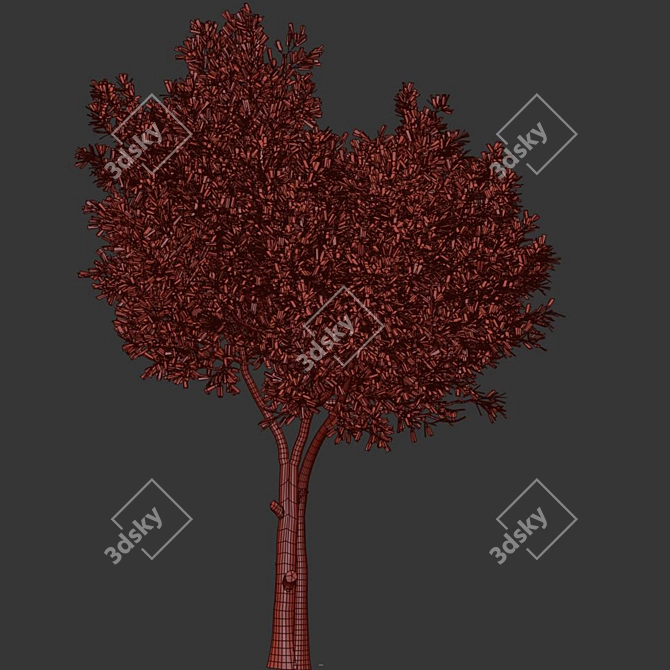 Modern Olive Tree Set24 Miniature 3D model image 4