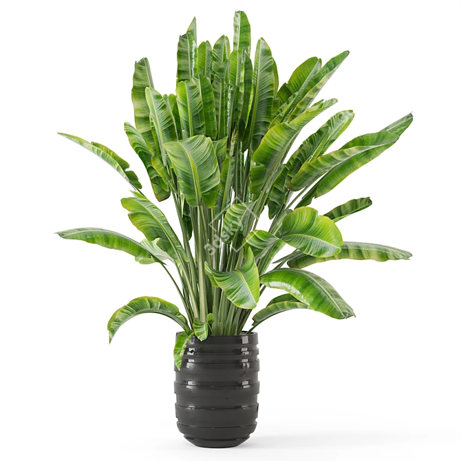 Modern Indoor Plants Set 2418 3D model image 2