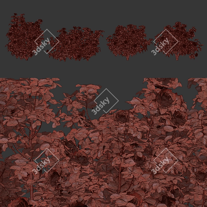 Vol 74 Rose Bush Collection 3D model image 7