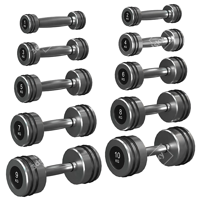 Harden Chrome Dumbbells Storage Solution 3D model image 4