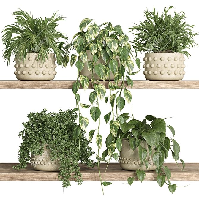 Modern Plants Shelf Decor 3D model image 1