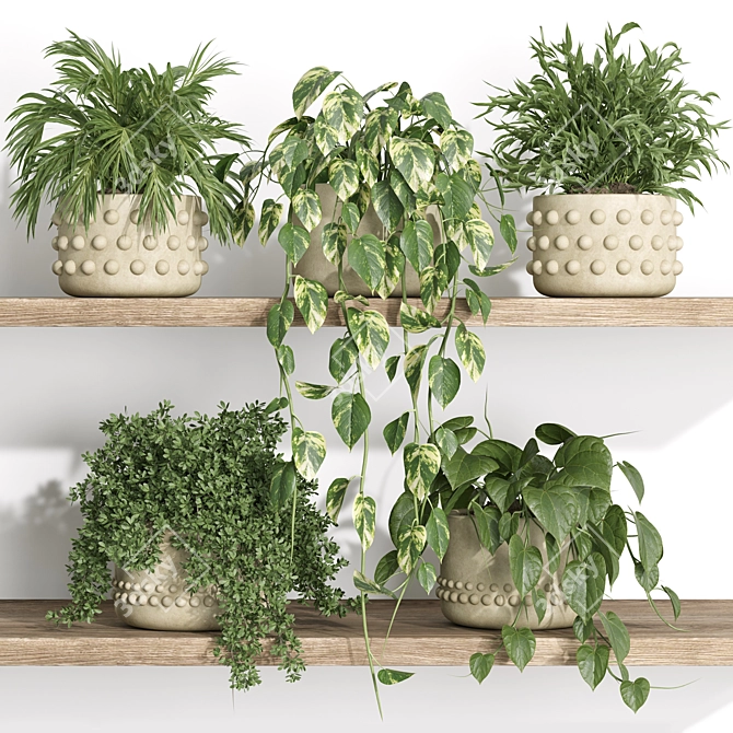 Modern Plants Shelf Decor 3D model image 2