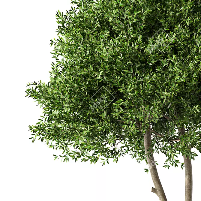 Modern Tree Sculpture Art Piece 3D model image 2