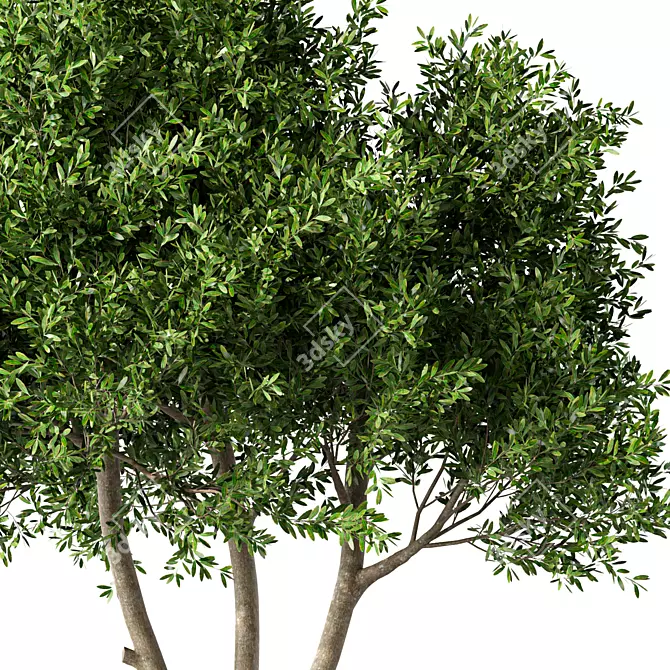 Modern Tree Sculpture Art Piece 3D model image 3