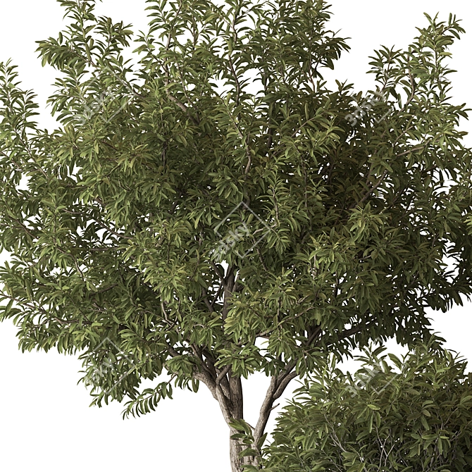 Green Oasis Tree Pot Plant 3D model image 4