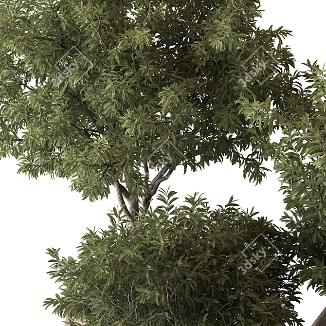 Green Oasis Tree Pot Plant 3D model image 5