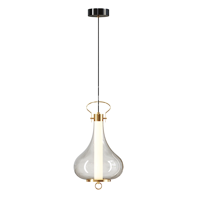 Modern Pendant Light Fixture RAVI 3D model image 3