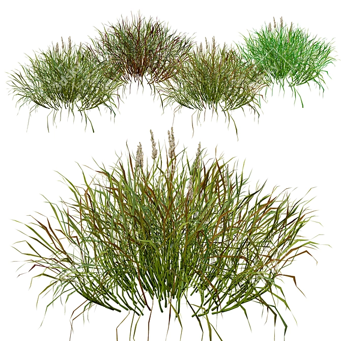 Realistic 3D Grass Model: Versatile Texture 3D model image 1